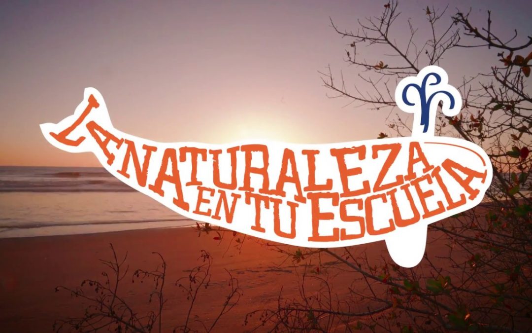 Convocatoria La naturaleza en tu Escuela, Sesión 1